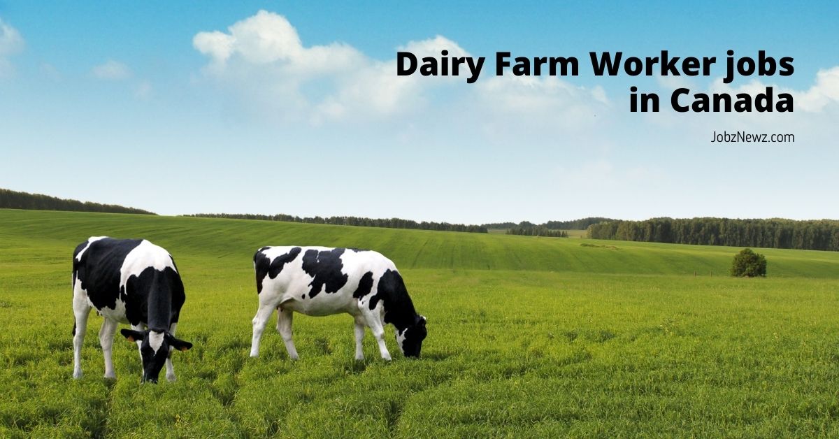 Dairy Farm Worker jobs in Canada